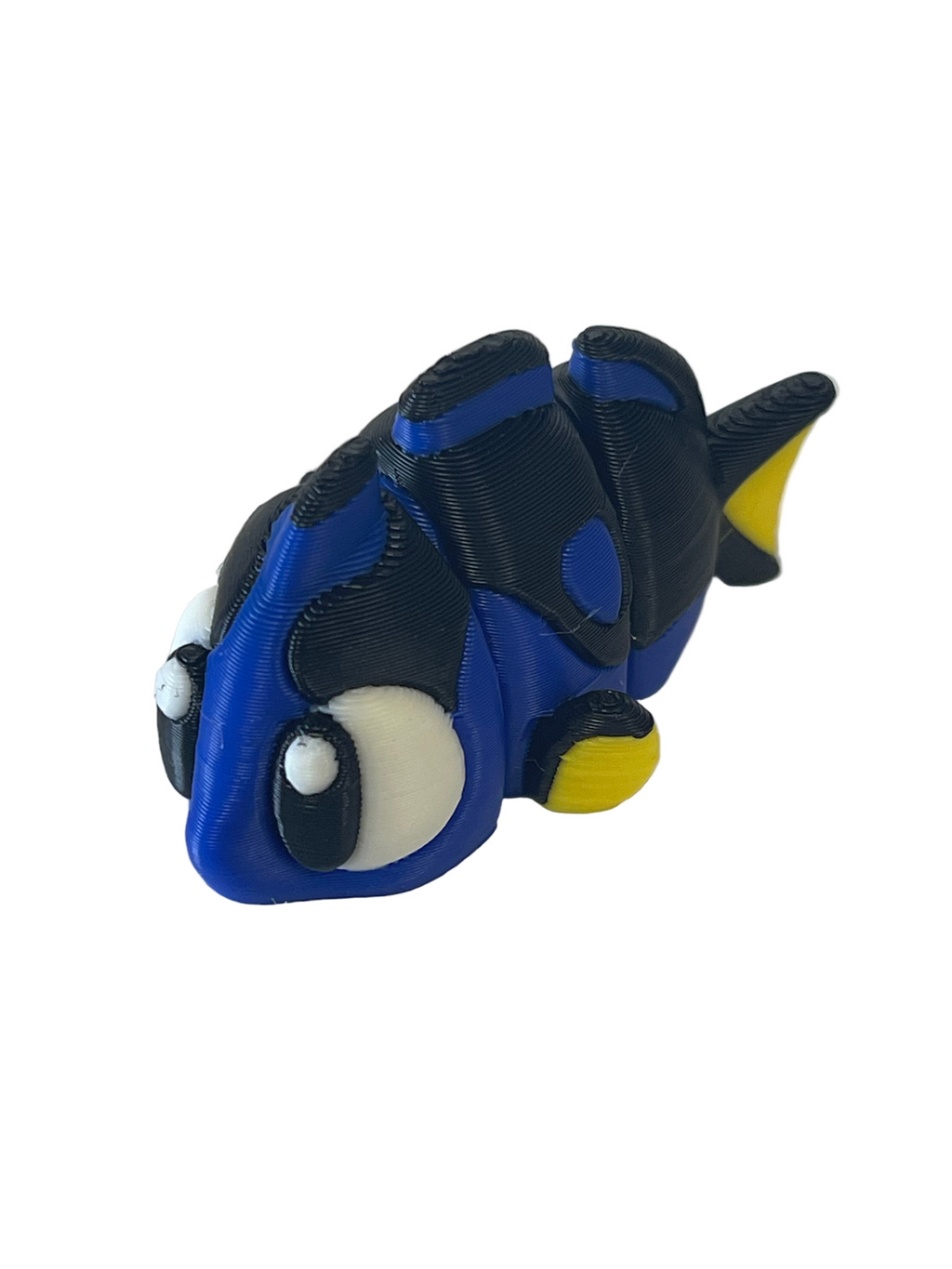 Small mini Flexi Surgeonfish