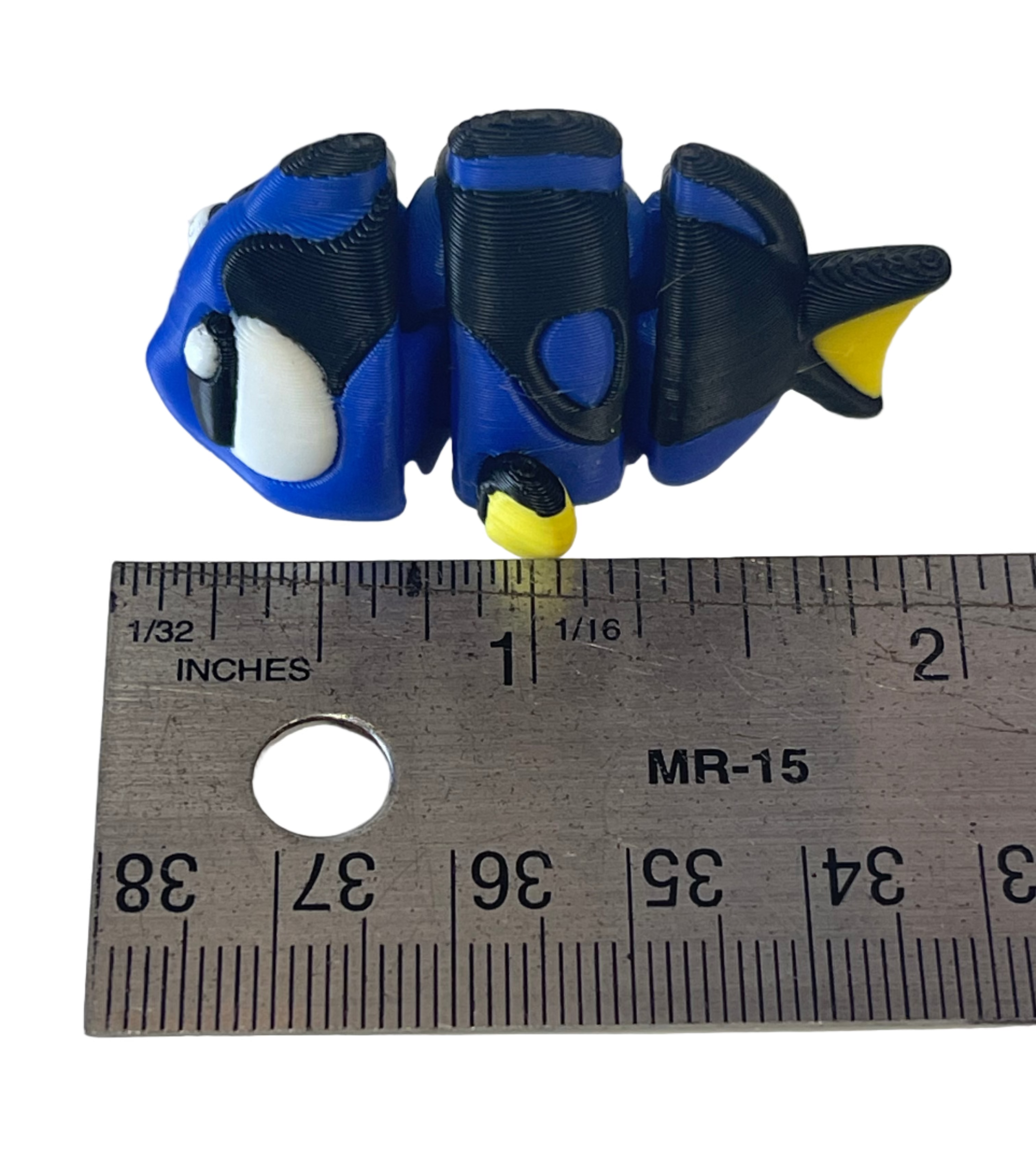 Small mini Flexi Surgeonfish